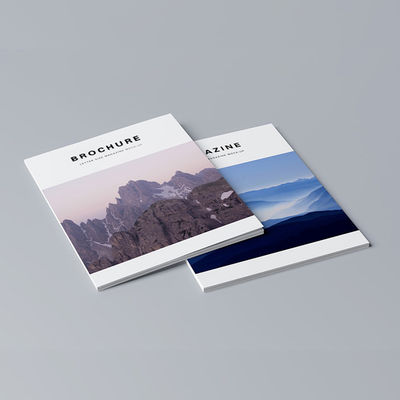 Des brochures de luxe en couleurs, des flyers publicitaires, des livres, un certificat FDA.