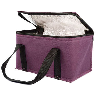 OEM Impression personnalisée Sac de refroidisseur isolé doux 21*13*14 Cm Avec 4L 16L 32L Capacité