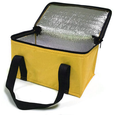 OEM Impression personnalisée Sac de refroidisseur isolé doux 21*13*14 Cm Avec 4L 16L 32L Capacité