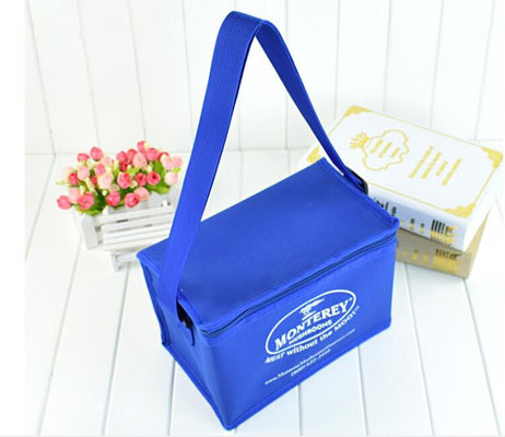 Sac de refroidisseur isolé doux et coloré portable avec différentes tailles disponibles