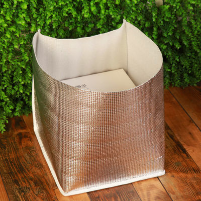 Sacs de refroidisseur en papier d'aluminium pour enfants