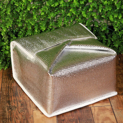 Sacs de refroidisseur en papier d'aluminium pour enfants