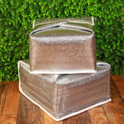 Sacs de refroidisseur en papier d'aluminium pour enfants