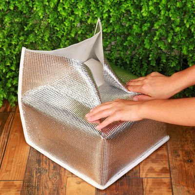 Sacs de refroidisseur en papier d'aluminium pour enfants